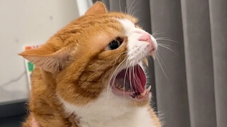ฉันจะไปบอกแม่!