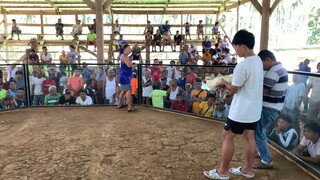 Second fight win champion white kelso