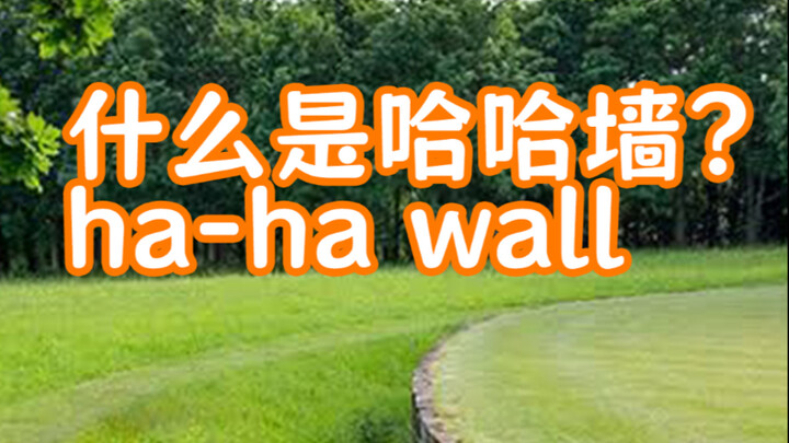 Apa itu dinding haha?