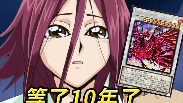 After ten years, the “Rose Dragon” has finally been strengthened into the “Blood Rose Dragon” [Hands