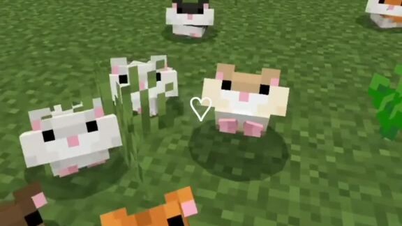 Minecraft cute😮