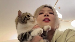 Cute Kitty vs. Cute Owner
