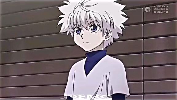 Killua bonding with sester