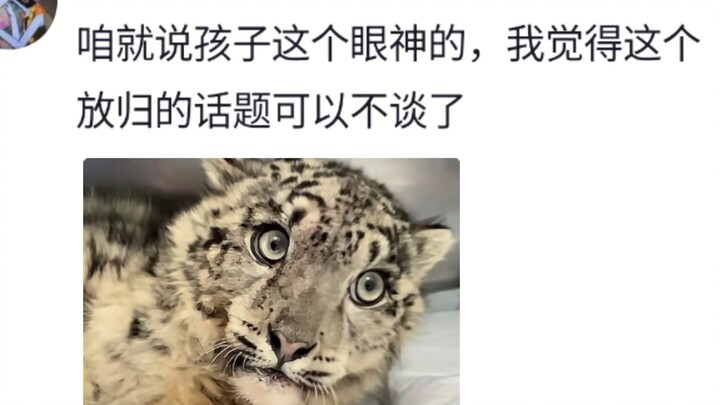 Ling Xiaozhe: Satisfied—now the whole country knows I can’t eat rabbit.