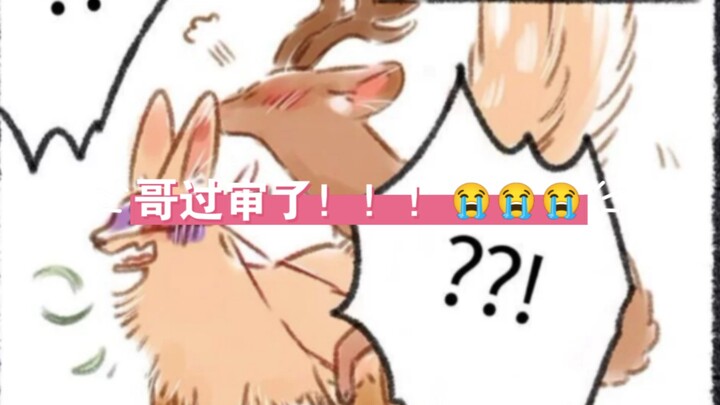 四不像角掉了怎么办？答:凸凹😄