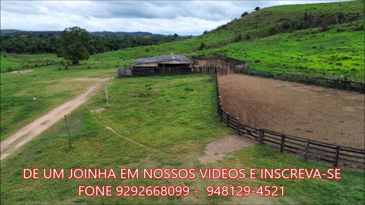 FAZENDA COM 1200 ALQUEIRÃO A VENDA cmc