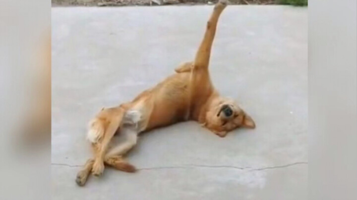 ความเป็นหนุ่มสาวมันดีแบบนี้แหละ แค่หัวถึงหมอนก็หลับได้เลย