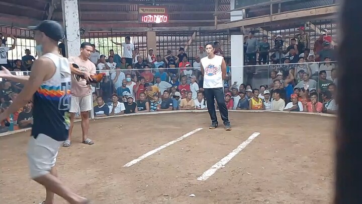 Nov 13 3 Stag/Cock Combo 2nd Fight W