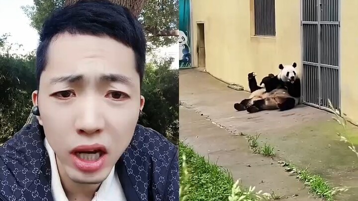 Tại sao Ultraman lại đóng gói hành lý?