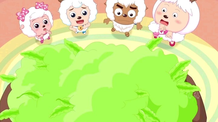 اتّضح أن لان يانغ يانغ هو أصغر خروف في قرية الخراف! الجميع يدلّل لان يانغ يانغ!!!