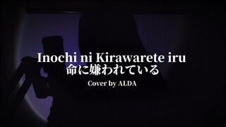 【ALDA】Inochi ni Kirawarete iru 命に嫌われている/ Hated by life itself (Cover)