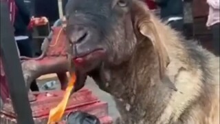 إنه أكثر عطراً عندما تخبزه بنفسك