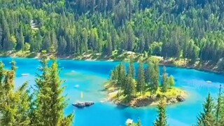 @Switzerland🇨🇭