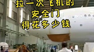 谁好人闲的没事儿拉飞机安全门呀