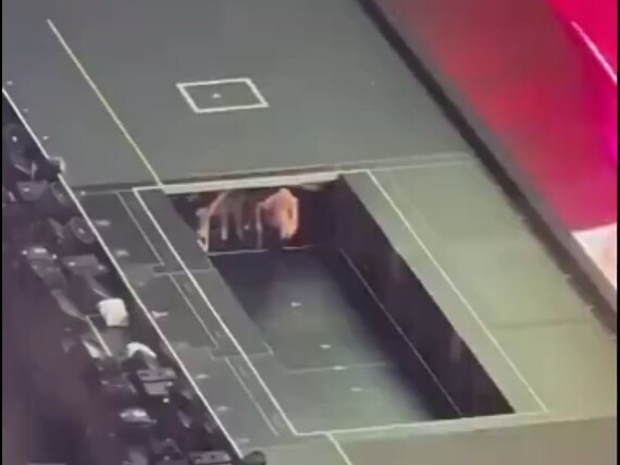 So this is how the lift platform makes its grand entrance!