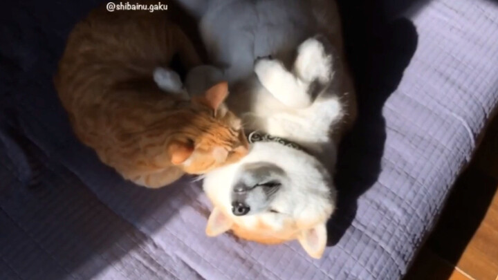 Your girlfriend always messes with you while you’re sleeping