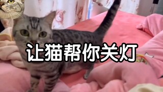 养猫千日，用猫一时！