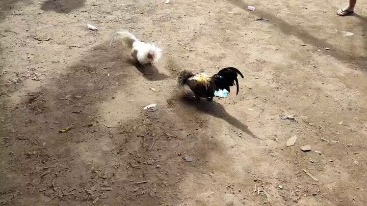 SA TABI TABI LANG WIN SANTA CLUES ALA TAMA.