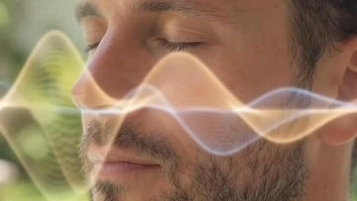 Reboot your Brain and Nervous system