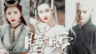 “不好意思，我们腾蛇族天生脾气爆，动手即是真理。”