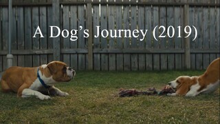 A Dog’s Journey (2019)