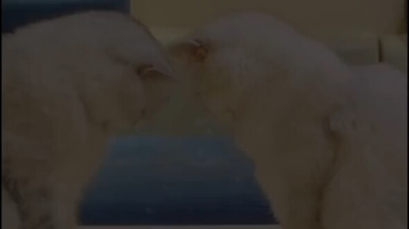 “แท็กคนน่ารักและสนุกที่สุดมาดูหน่อย!”