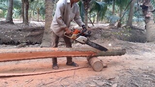thu nhập bằng nghề này một ngày sẽ được bao nhiêu| TKQ T170