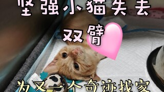 [Rescue] Little Jixiang, who lost both arms, was saved and is now looking for a home. They're so str