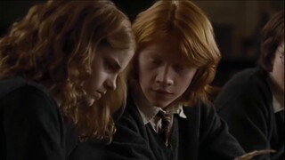 Koleksi wajah berbulu Nona Hermione, yang juga merupakan penampilannya yang paling populer, dilebih-