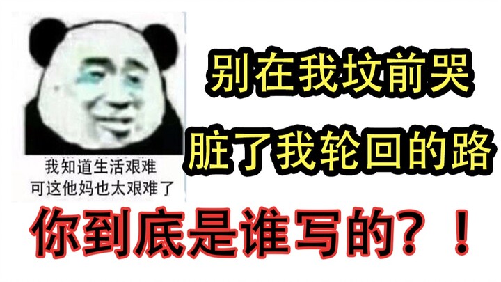 【认真】为一句话，做一期视频