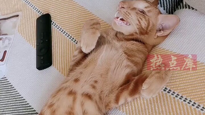 Although I'm a mom now, I'm still a baby myself.