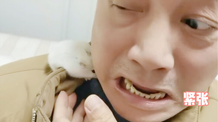 When You Leave Your Rat in Your Parents’ Care