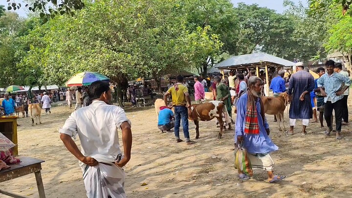 সৈয়দপুর ঢেলা পীর হাট