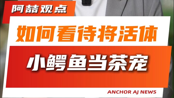 Nên nhìn nhận thế nào về việc dùng cá sấu nhỏ còn sống làm thú cưng trà?