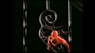 Web Spinning Spider-Man - by MEGO