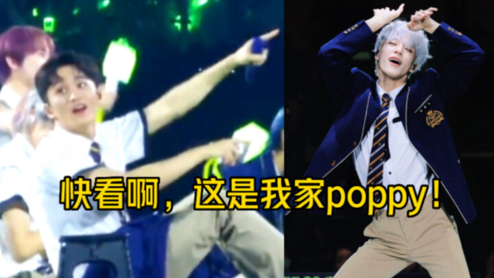 Mark: Nhìn này, cún cưng nhà tôi đang nhảy Poppy! Của nhà tôi đó!! [Lee Mark, Lee Jaehyun, NCT DREAM