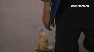 Luật hấp dẫn tập 8- cuối.