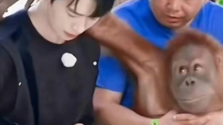 เว่ยต้าซวิน: นี่คือชีวิตหลังดังแล้วใช่ไหม แม้แต่เสียงกรนก็ยังน่ารักไปหมด