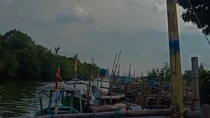 Mancing bosku