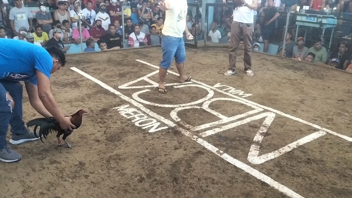 for champion😌😍😘👏💪👑