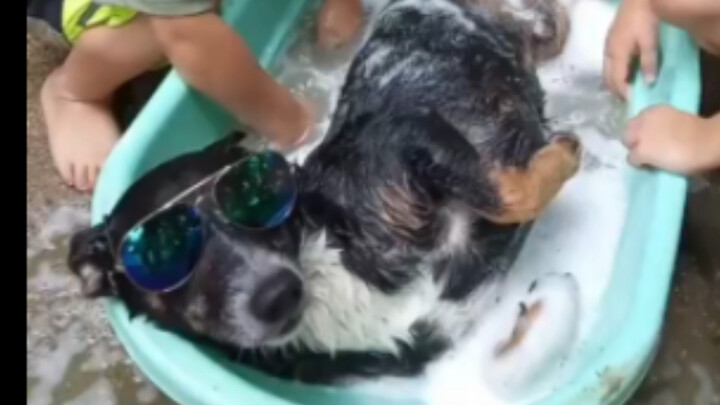 Cute Baby Washes Kugou