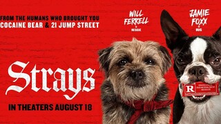 Watch Full Strays 2023 Adventure / Animation / Comedy