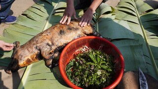 CÁ NHẢY & LỢN CẮP NÁCH