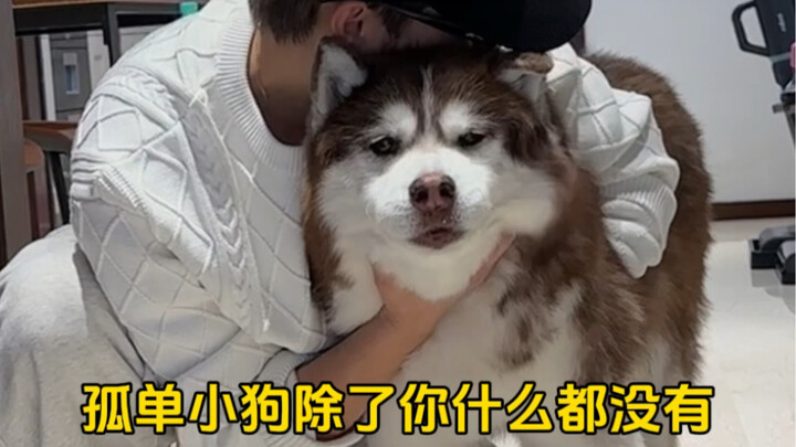 Who can relate! This song is absolutely heartbreaking for pet owners—no one walks away without cryin