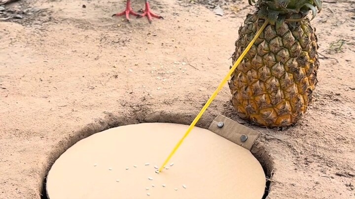 [World Curiosities Commentary] The video pack is ready—come check it out!