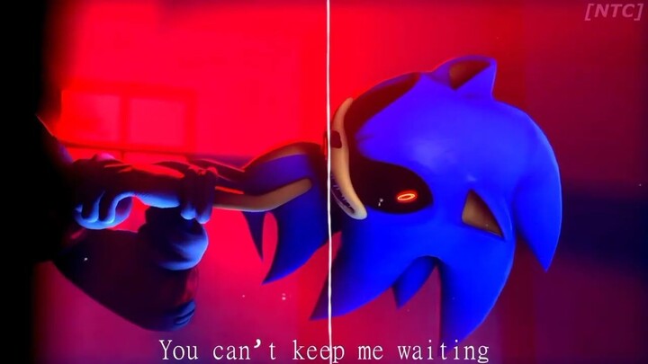 Sonic.EXE Hide And Seek Ding Dong Cover Indonesia