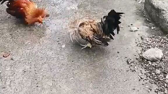 katuwaan lang din diman lang nakatama ng ayos mata agad tama