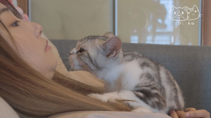 【PiKa’s Little Daily Life】A clingy kitten begs for kisses, and the cat parent’s double chin is吓得 out