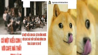 thicha kiểu con gái ấy :> #haihuoc