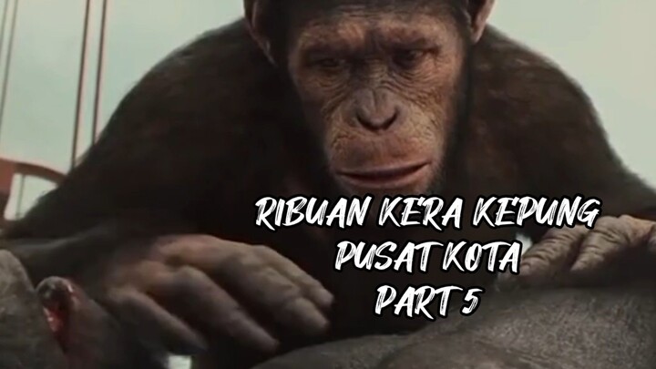 RIBUAN KERA KEPUNG PUSAT KOTA PART 5